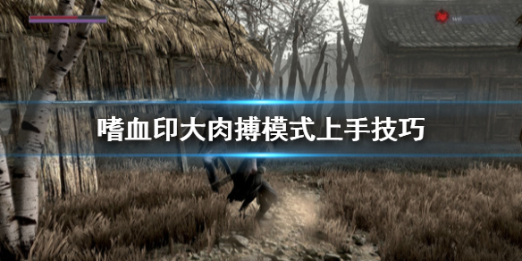 《嗜血印》大肉搏模式怎么打 大肉搏模式上手技巧
