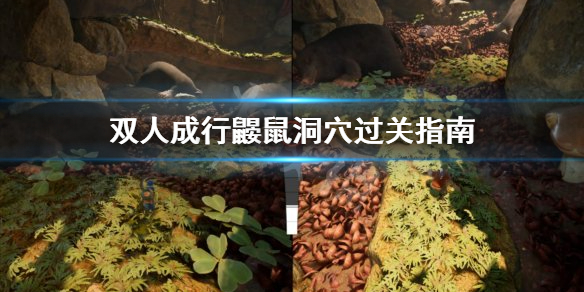 《双人成行》鼹鼠洞穴怎么过 鼹鼠洞穴过关指南