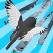 燕子模拟器
