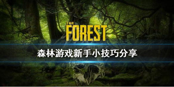 《森林》游戏新手有什么技巧 The Forest新手小技巧分享