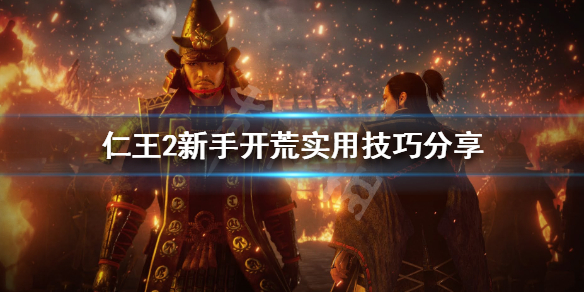 《仁王2》新手怎么开荒 新手开荒实用技巧分享