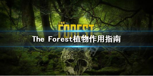《森林》游戏植物有什么用 The Forest植物作用指南