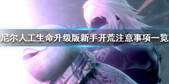 《尼尔人工生命升级版》新手怎么玩 新手开荒注意事项一览