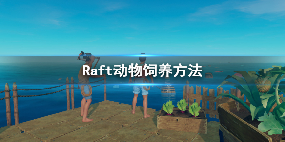 《木筏求生》怎么养动物 Raft动物饲养方法
