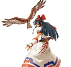 侍魂1娜可露露出招表