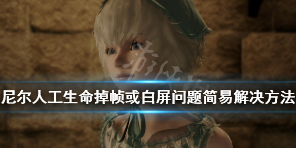 《尼尔人工生命升级版》白屏怎么办？掉帧或白屏问题简易解决方法