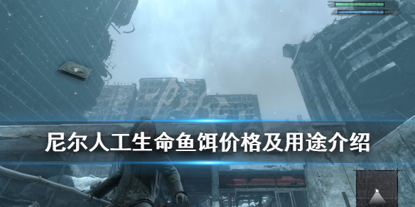 《尼尔人工生命升级版》鱼饵在哪买？鱼饵价格及用途介绍