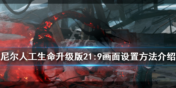 《尼尔人工生命升级版》21：9画面怎么设置？21：9画面设置方法介绍