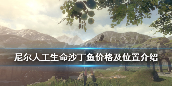 《尼尔人工生命升级版》沙丁鱼在哪钓？沙丁鱼价格及位置介绍