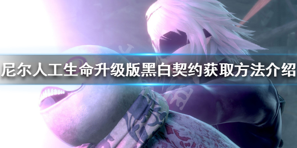 《尼尔人工生命升级版》白之契约怎么获得 黑白契约获取方法介绍