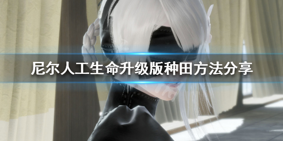 《尼尔人工生命升级版》怎么种田 种田方法分享