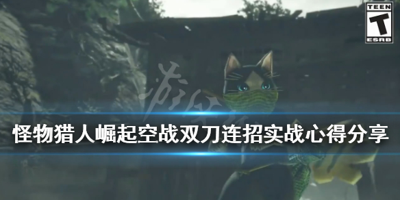 《怪物猎人崛起》空战双刀连招实战心得分享 空战双刀怎么连招？