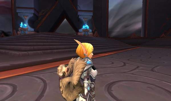 《魔兽世界》慈善宠物筹集超100万美金 可领取树懒黛西