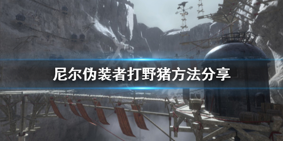 《尼尔人工生命》怎么打野猪 打野猪方法分享