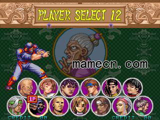 豪血寺一族2才藏出招表