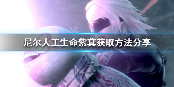 《尼尔人工生命升级版》紫萁怎么获得 紫萁获取方法分享