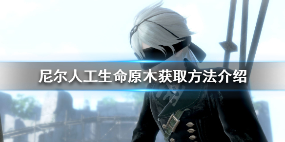《尼尔人工生命升级版》原木怎么获得 原木获取方法介绍