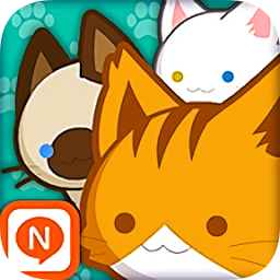 迷你宠物M小猫
