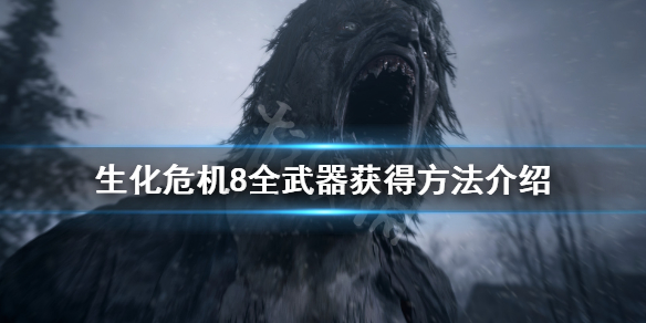 《生化危机8》武器怎么获得 全武器获得方法介绍