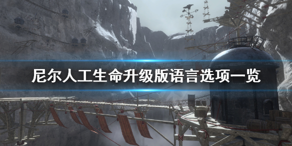 《尼尔人工生命升级版》有中文吗 语言选项一览