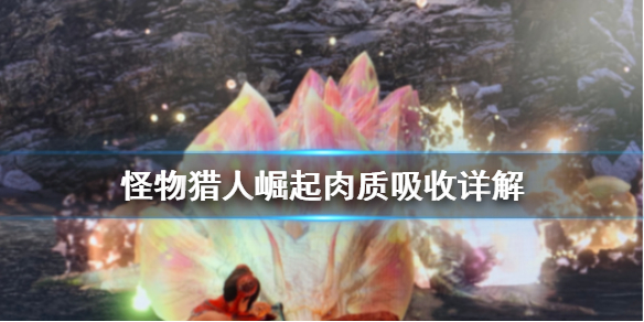 《怪物猎人崛起》肉质是什么意思 肉质吸收详解