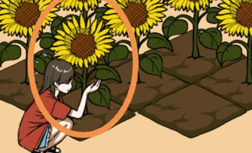 给我也整一个吃货姐姐