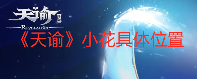 《天谕》小花具体位置