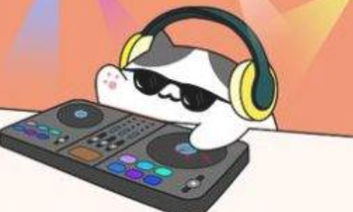 我的猫咪会打碟