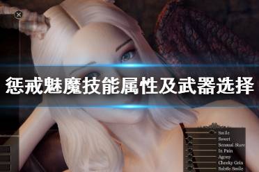 《惩戒魅魔》武器选择什么好