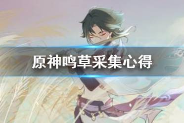 《原神》鸣草怎么采集