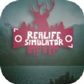 Realife Simulator