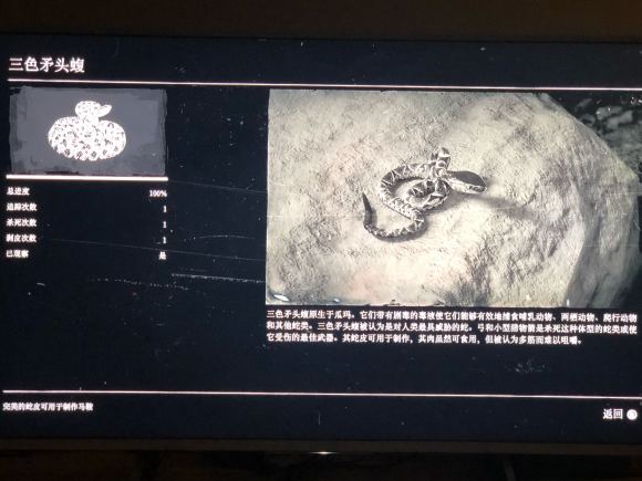 荒野大镖客2RedDeadRedemption2瓜马岛特殊生物蝮蛇捕捉攻略