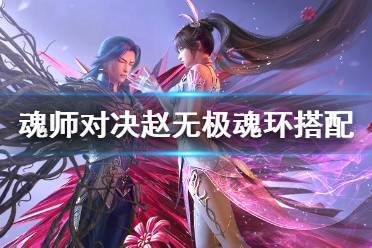 《斗罗大陆魂师对决》赵无极魂环搭配 赵无极魂环选择