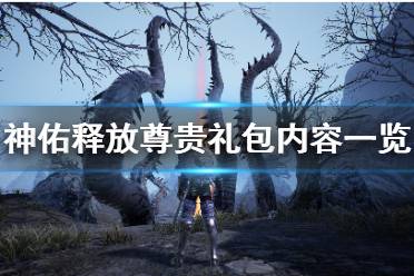 《神佑释放》尊贵礼包有什么