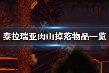 《泰拉瑞亚》肉山会掉什么 肉山掉落物品一览