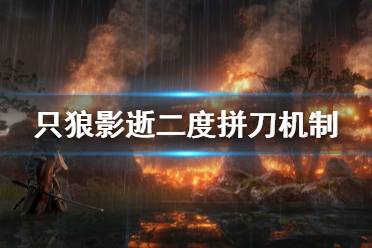 《只狼影逝二度》拼刀是什么