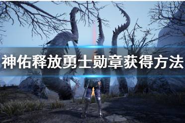 《神佑释放》勇士勋章怎么获得