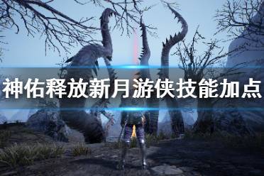 《神佑释放》新月游侠怎么加点