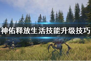 《神佑释放》生活技能怎么升级