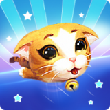 猫也想成为生肖