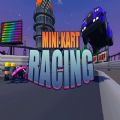 Mini Kart Racing
