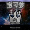 宝可梦王冠Pokemon Royal