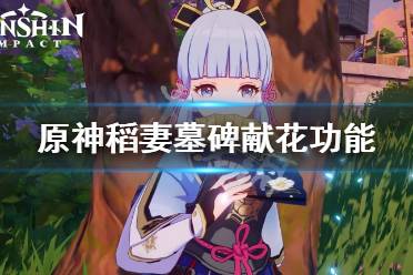 《原神》稻妻墓碑献花有什么用