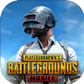 PUBG MOBILE INGITION