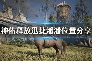 《神佑释放》迅捷潘潘在哪获得