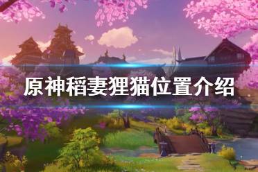 《原神》稻妻狸猫在哪里
