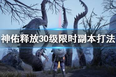 《神佑释放》30级限时副本怎么打