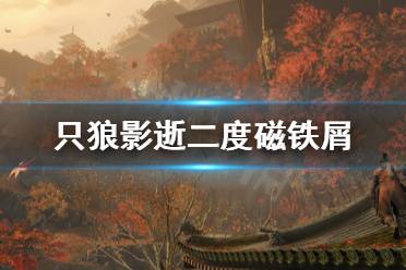 《只狼影逝二度》磁铁屑去哪刷