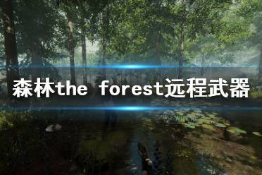 《森林》游戏远程武器怎么选