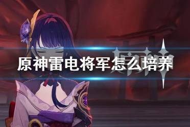 《原神》雷电将军怎么培养 雷电将军角色攻略